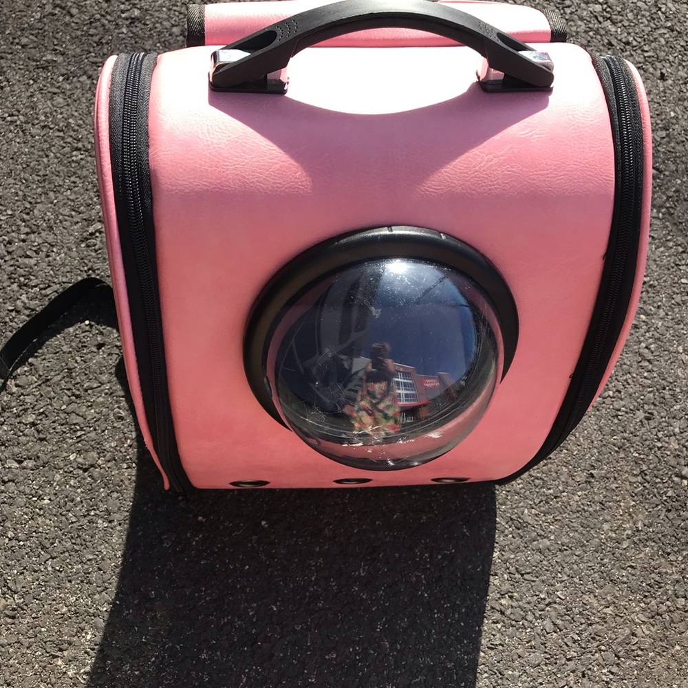 Cat  pet carrier with bubble view